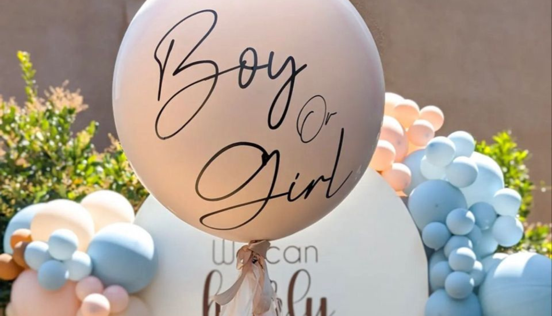 baby gender reveal